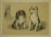 Kutyaportrék 1848